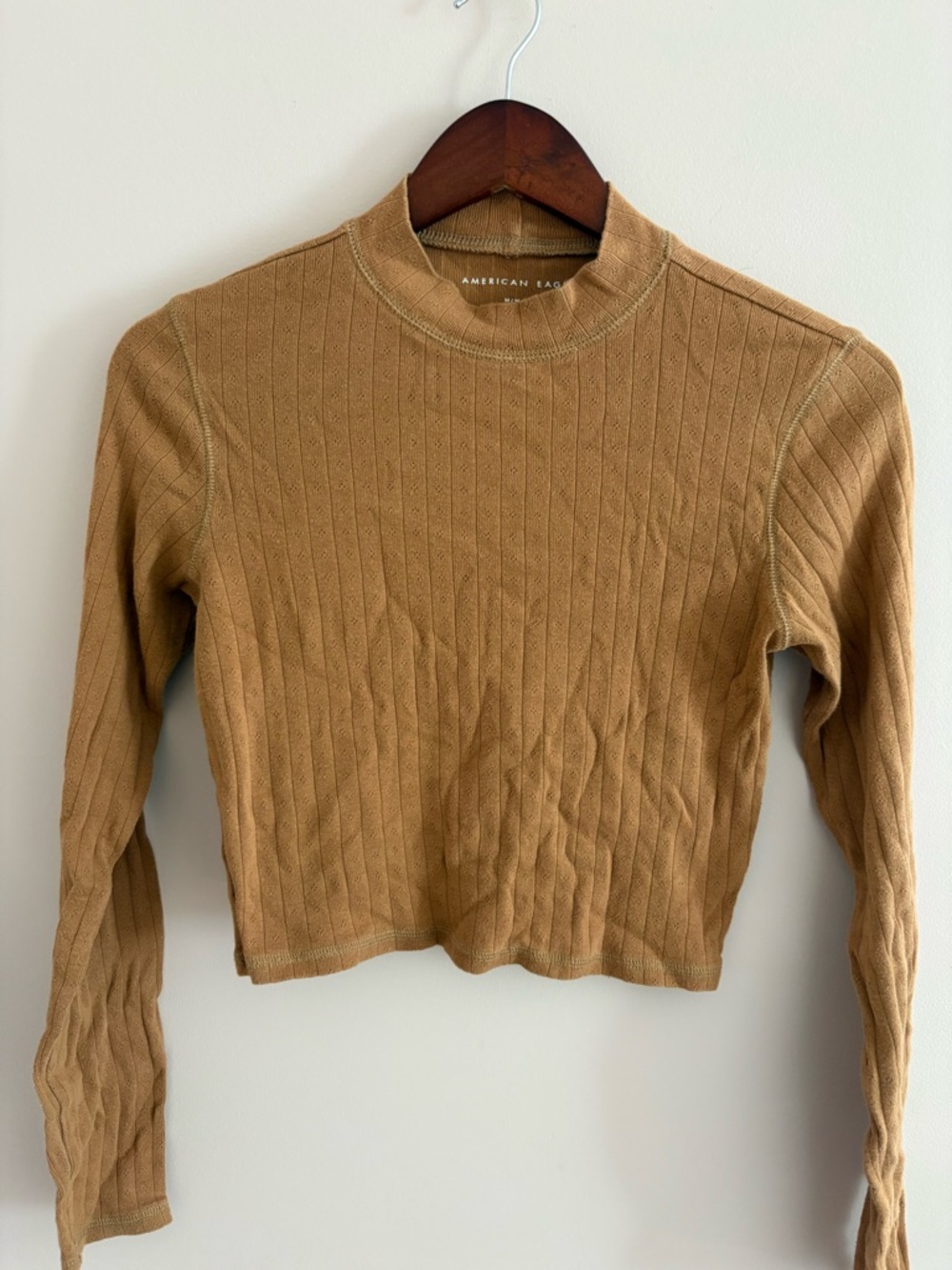 American Eagle Outfitters Tan Ribbed Mock-Neck Long Sleeve Top